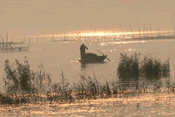 Luoma Lake Scenic region