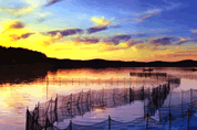 Yanmin Lake