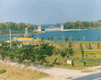 River bank