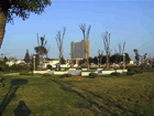 A city view