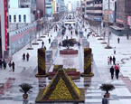 City's urban area