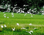 Eco-balanced environment