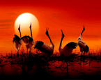 Nature's beauty