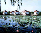 Residency along the lakeshore