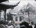 The white winter