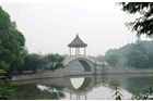 A park view of the city