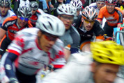 Bike Festival